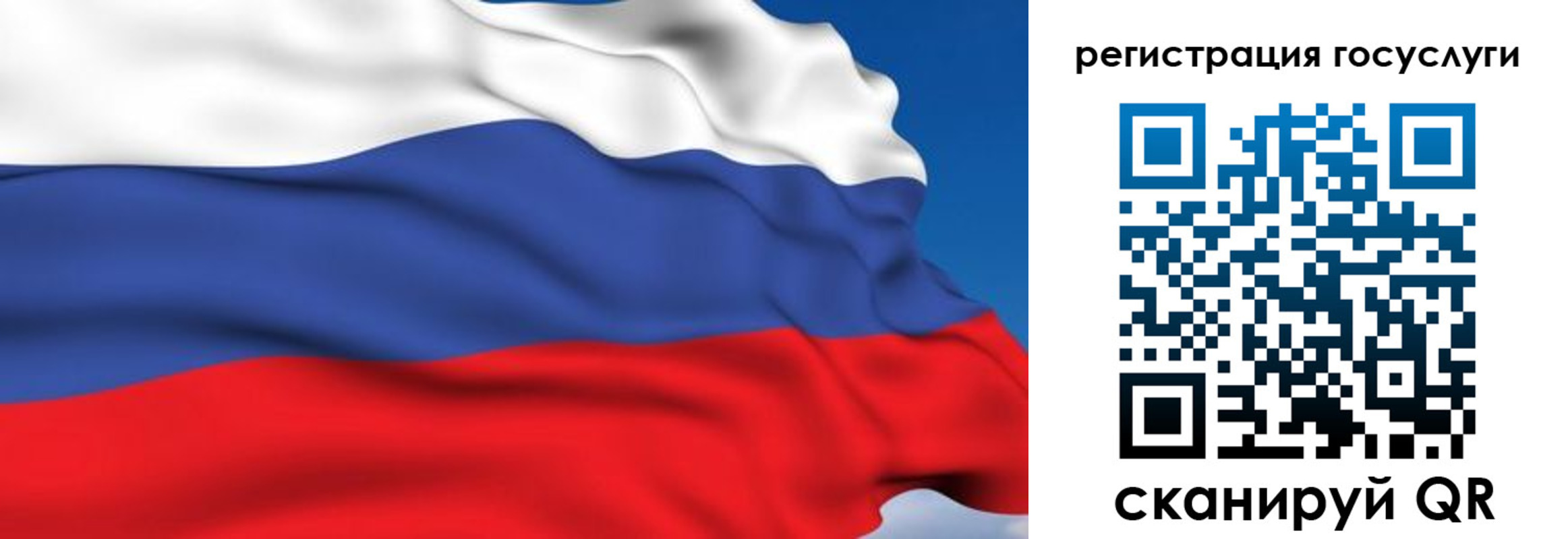где прописаться в Светлом
